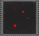 void-1.3-188x175